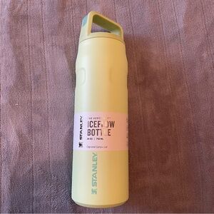 Stanley AeroLight IceFlow Bottle in Pomelo (green)